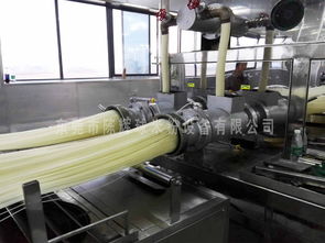 新型米粉設備 全新技術突破引領環保機械制造新紀元